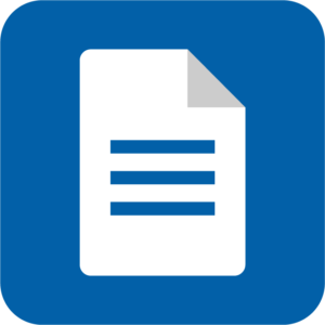 icon 1.0