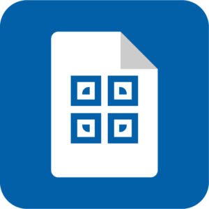 icon 1.0