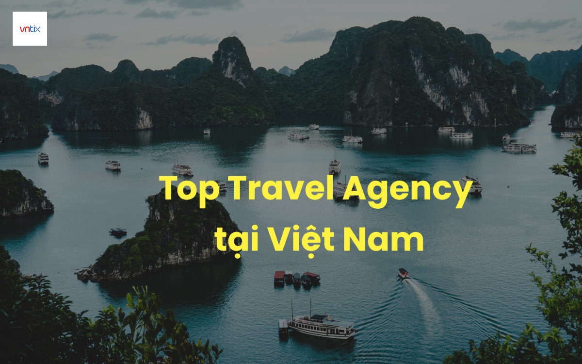 Top “TA là gì?” ở Việt Nam