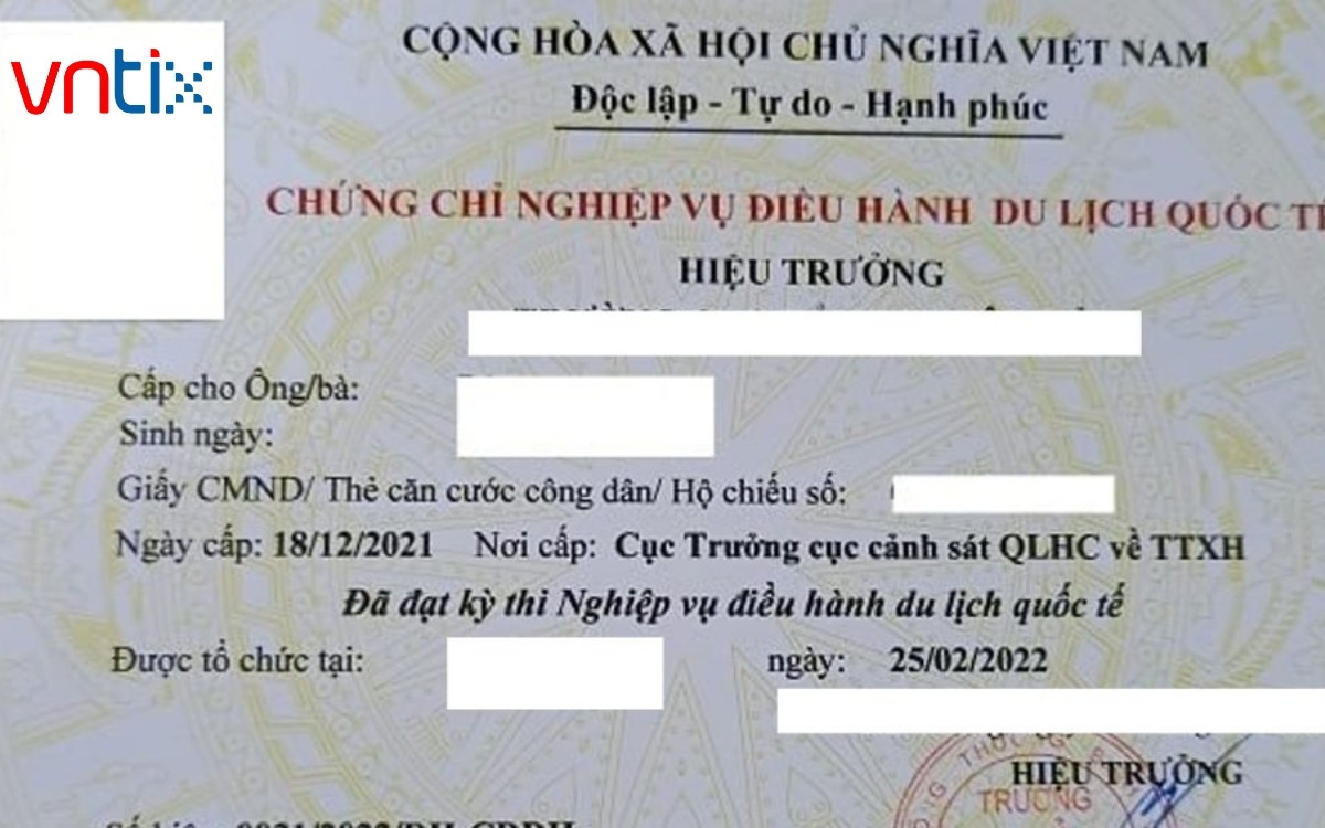 So sánh: Chứng chỉ nội địa vs. Quốc tế và lựa chọn chiến lược
